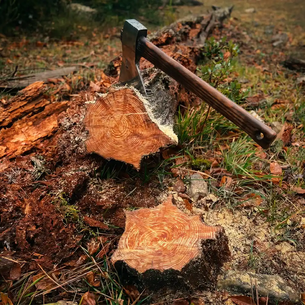 Hand Harvested from Dead Trees.