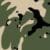 Forest Camo