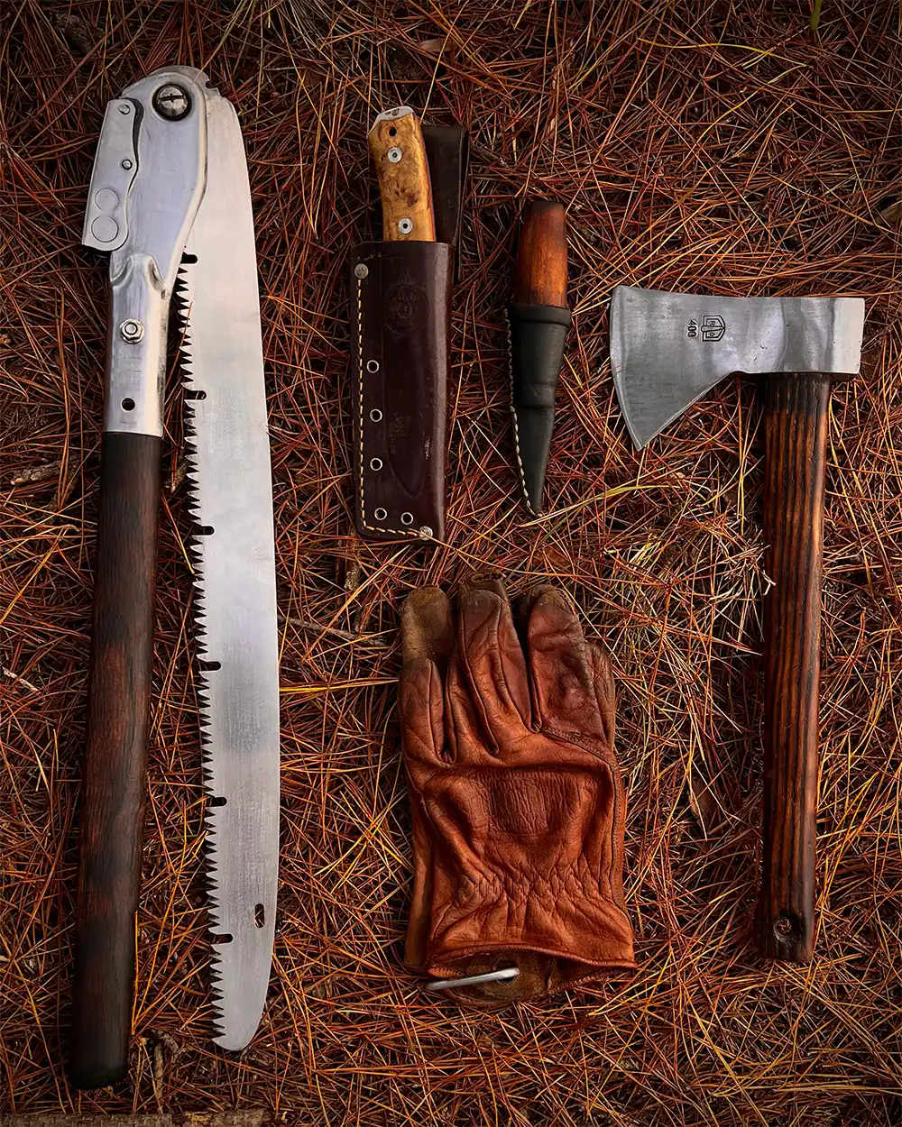 bushcraft-tools-gear-to-find-fatwood-1
