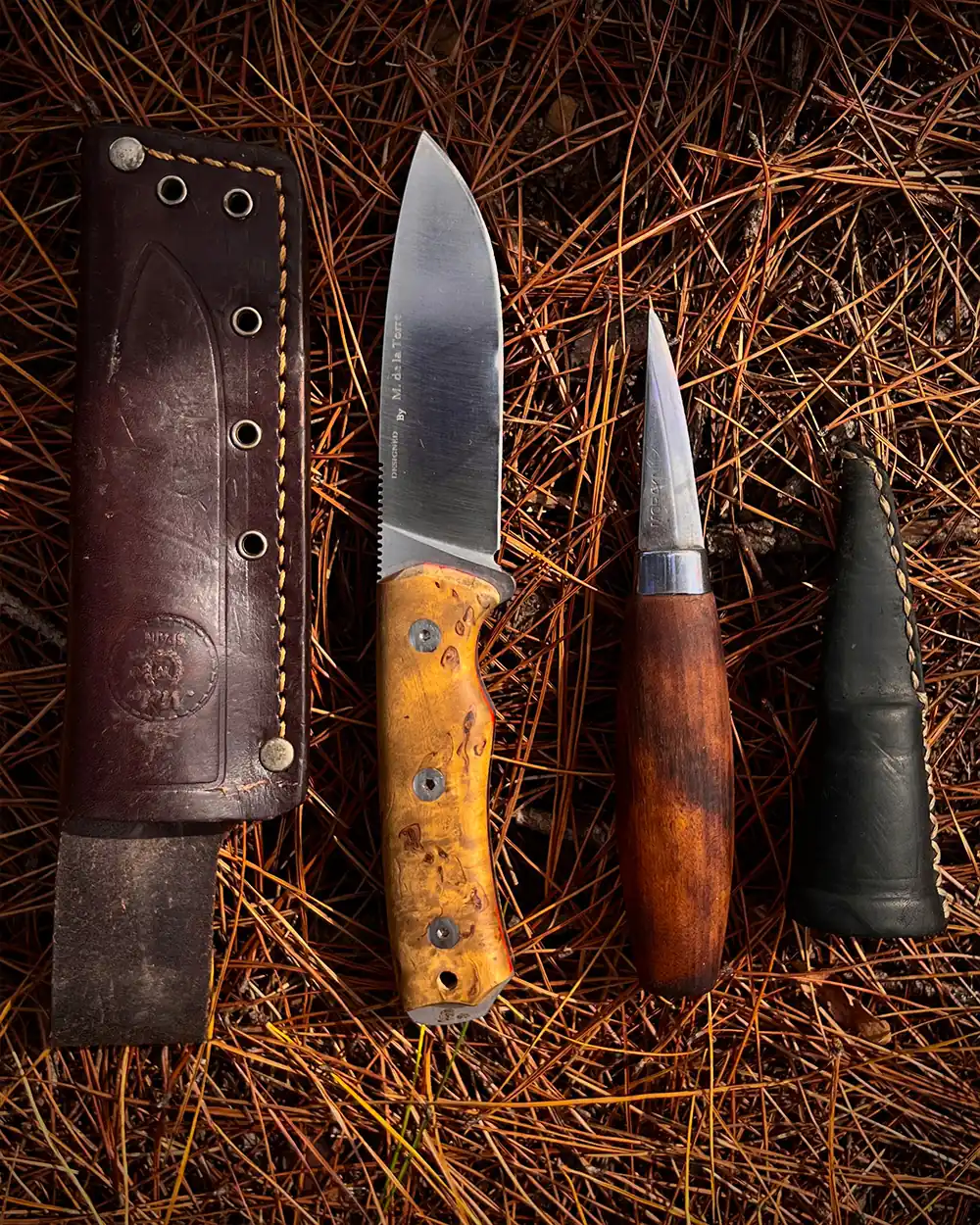 bushcraft-tools-gear-to-find-fatwood-2