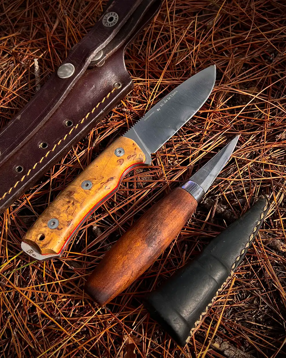 bushcraft-tools-gear-to-find-fatwood-3