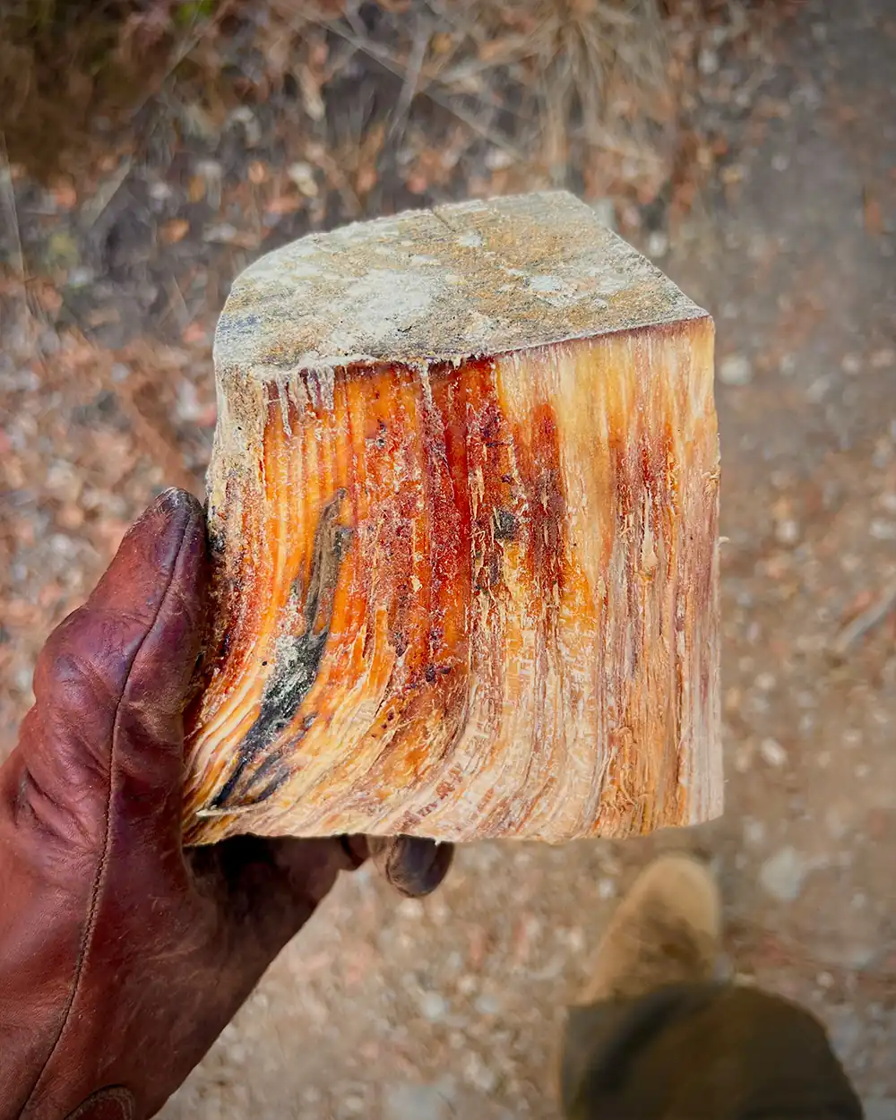 fatwood-pine-resin-fire-starter-bushcraft-lastbush-survival-1