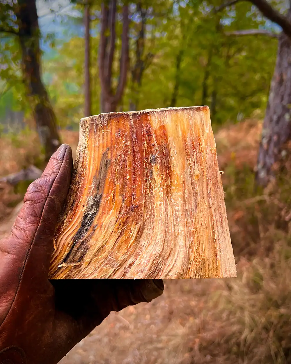 fatwood-pine-resin-fire-starter-bushcraft-lastbush-survival-2